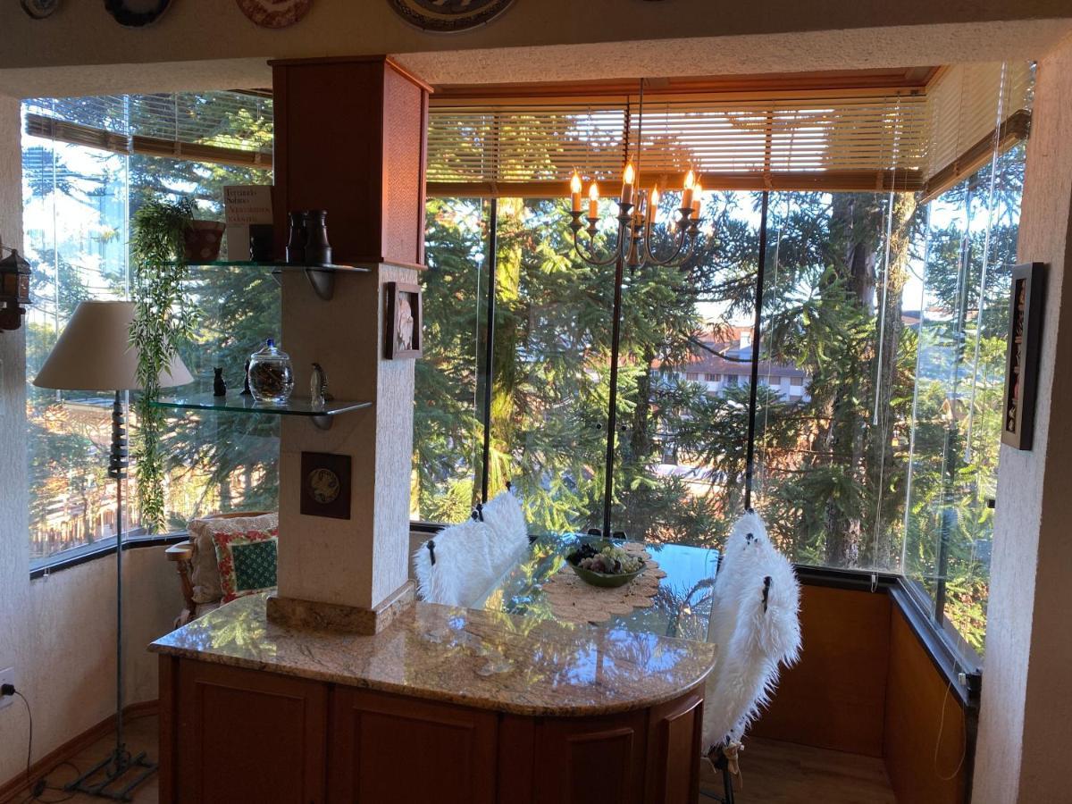 Vista Inspiradora Em Uma Localizacao Imbativel! Apartment Gramado Luaran gambar